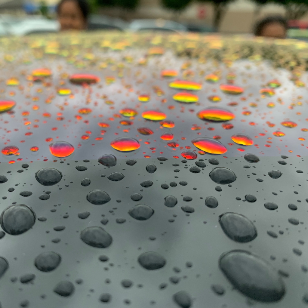 Rain drops on Tesla Model 3 roof.